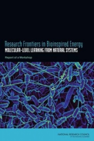 Книга Research Frontiers in Bioinspired Energy Committee on Research Frontiers in Bioinspired Energy