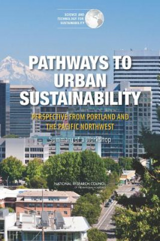 Kniha Pathways to Urban Sustainability Policy and Global Affairs