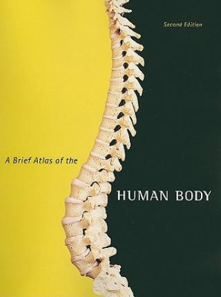 Carte Brief Atlas of the Human Body, A Elaine N. Marieb