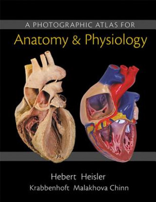 Book Photographic Atlas for Anatomy & Physiology, A Karen Krabbenhoft