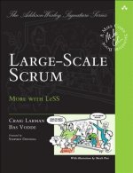 Carte Large-Scale Scrum Craig Larman