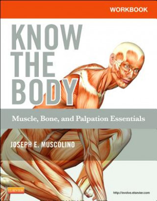 Könyv Workbook for Know the Body: Muscle, Bone, and Palpation Essentials Joseph E. Muscolino