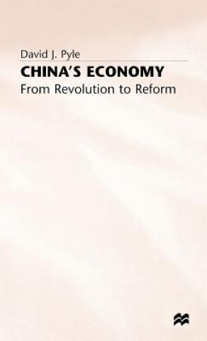 Kniha China's Economy David J. Pyle