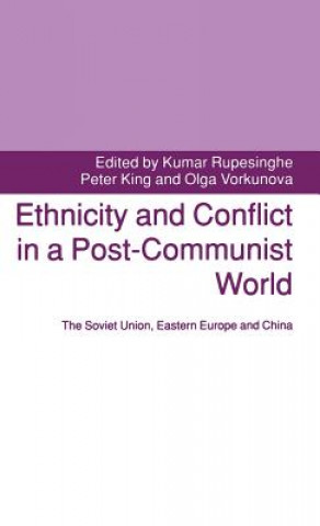 Kniha Ethnicity and Conflict in a Post-Communist World Peter King