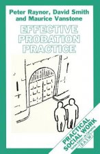 Effective Probation Practice