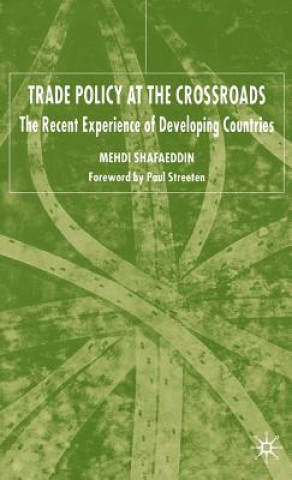 Kniha Trade Policy at the Crossroads Mehdi Shafaeddin