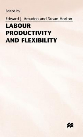 Kniha Labour Productivity and Flexibility Edward J. Amadeo