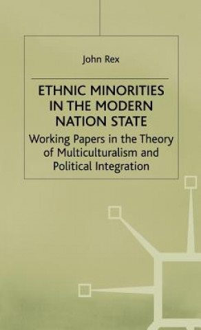 Kniha Ethnic Minorities in the Modern Nation State John Rex