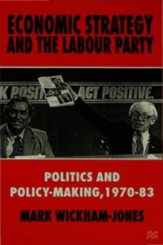 Kniha Economic Strategy and the Labour Party Mark Wickham-Jones