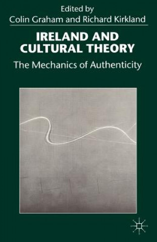 Livre Ireland and Cultural Theory Colin Graham