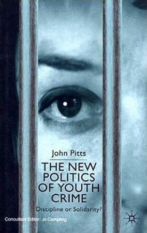 Βιβλίο New Politics of Youth Crime John Pitts