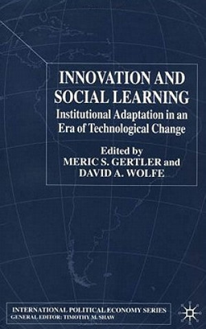 Kniha Innovation and Social Learning M. Gertler