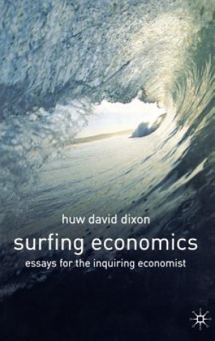 Buch Surfing Economics Huw David Dixon