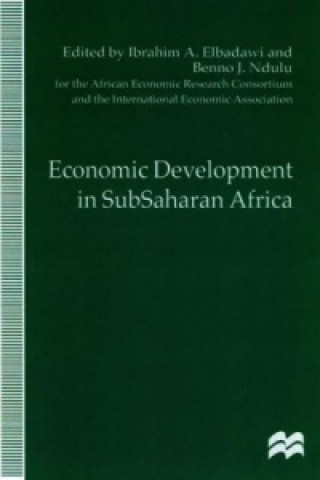 Kniha Economic Development in SubSaharan Africa B. Ndula