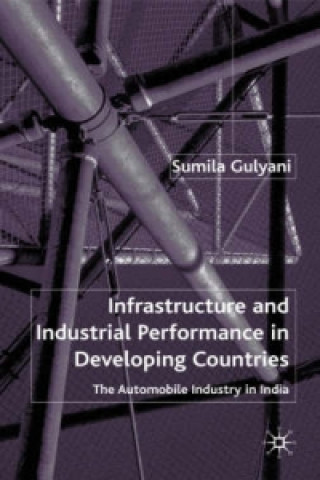 Book Innovating with Infrastructure Sumila Gulyani