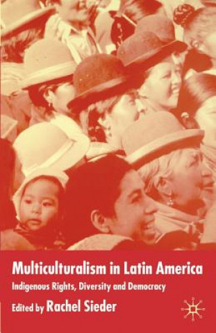 Könyv Multiculturalism in Latin America R. Sieder