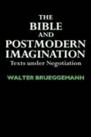 Knjiga Bible and Postmodern Imagination Walter Brueggemann