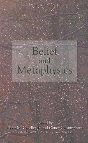Kniha Belief and Metaphysics Conor Cunningham