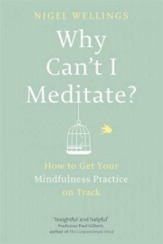 Kniha Why Can't I Meditate? Nigel Wellings