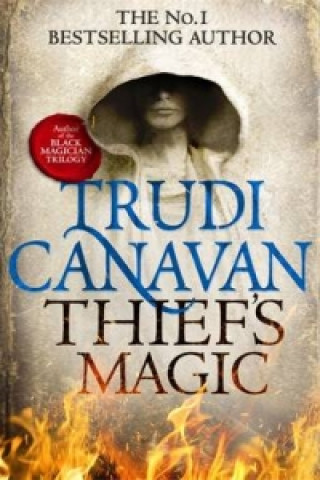 Book Thief's Magic Trudi Canavan