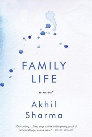 Kniha Family Life Akhil Sharma