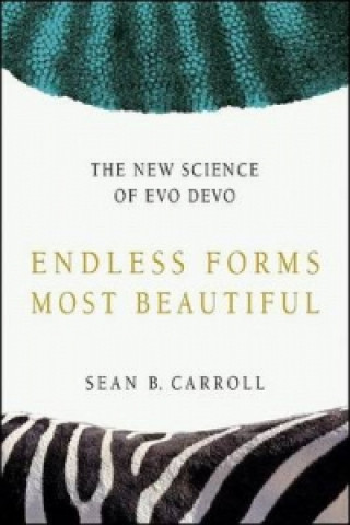 Kniha Endless Forms Most Beautiful Sean B. Carroll