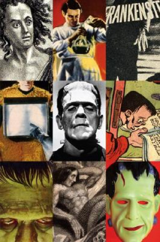 Knjiga Frankenstein Susan Tyler Hitchcock