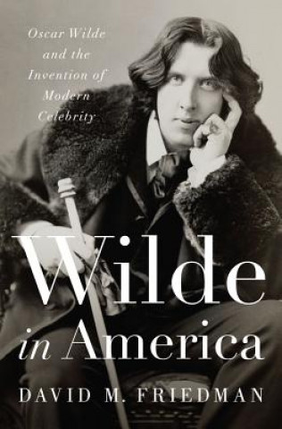 Könyv Wilde in America David M. Friedman