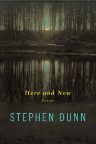 Kniha Here and Now Stephen Dunn