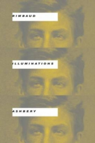 Kniha Illuminations John Ashbery