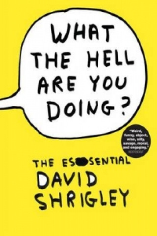 Book What the Hell are You Doing? David Shrigley