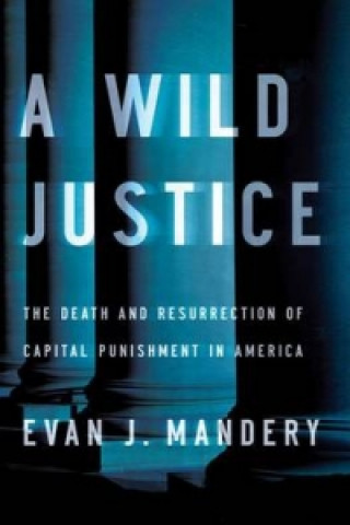 Buch Wild Justice Evan J. Mandery