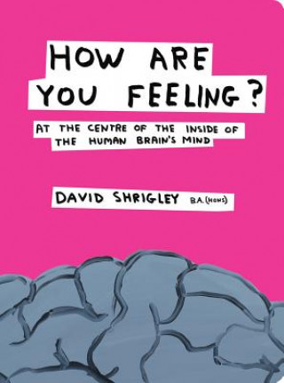 Könyv How Are You Feeling? David Shrigley