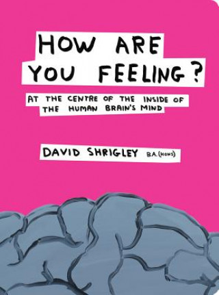 Książka How Are You Feeling? David Shrigley