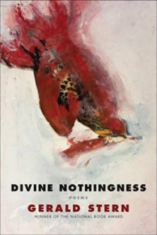 Könyv Divine Nothingness Gerald Stern