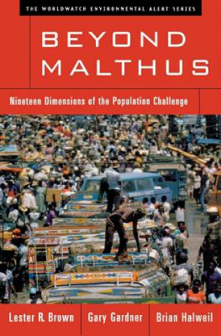 Kniha Beyond Malthus Lester R. Brown