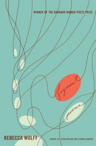 Βιβλίο Figment Rebecca Wolff