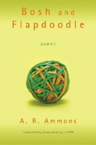 Boek Bosh and Flapdoodle A. R. Ammons