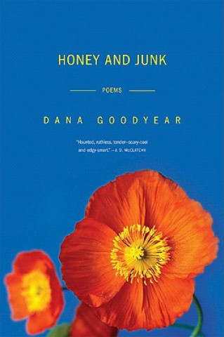 Buch Honey and Junk Dana Goodyear