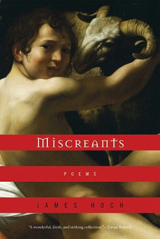 Knjiga Miscreants James Hoch