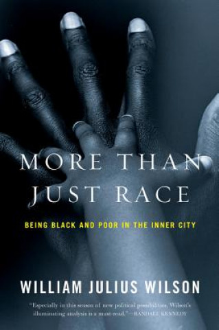 Könyv More than Just Race William Julius Wilson