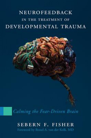 Kniha Neurofeedback in the Treatment of Developmental Trauma Sebern F. Fisher