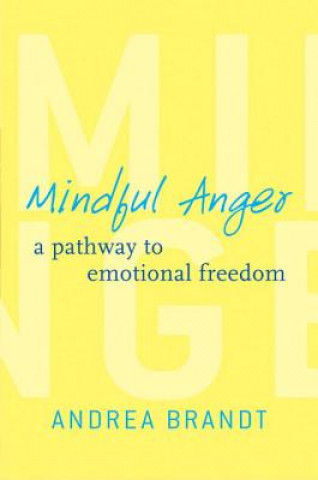 Könyv Mindful Anger Andrea Brandt