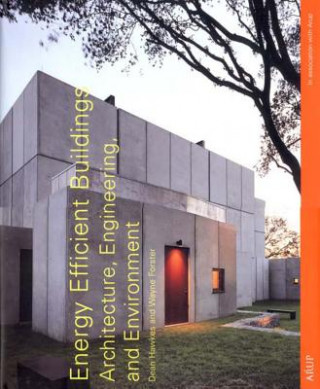 Buch Energy Efficient Buildings Wayne Forster