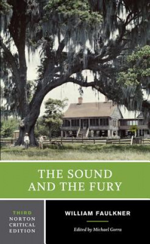 Könyv Sound and the Fury William Faulkner