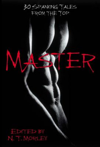 Könyv Master/slave N. T. Morley