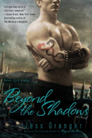 Kniha Beyond The Shadows Jess Granger