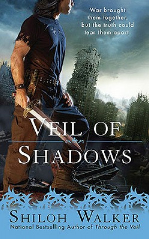 Książka Veil of Shadows Shiloh Walker