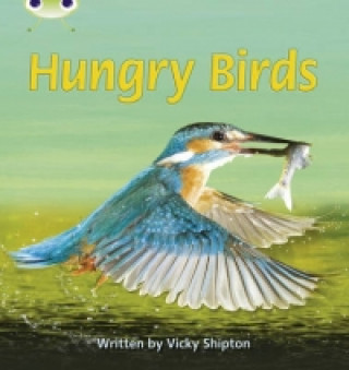 Książka Bug Club Phonics Non Fiction Year 1 Phase 5 Set 23 Hungry Birds Vicky Shipton