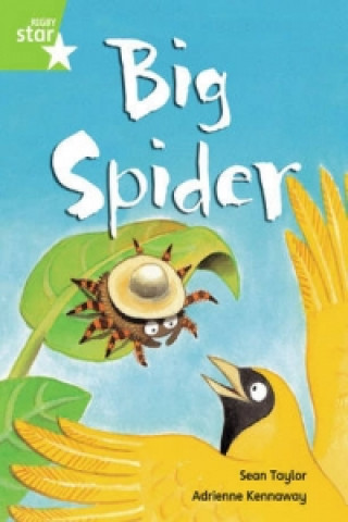 Kniha Rigby Star Guided Phonic Opportunity Readers Green: Big Spider Pupil Book (Single) 